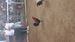 Ang bihag ,nakabihag pa. 10/6 tawagan. malaki KC kalaban.Nabihag tong alinbuyugin last June 16.