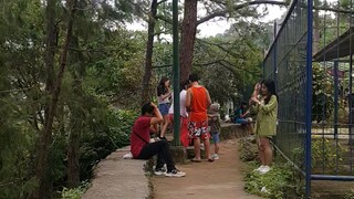Lost in Baguio2023