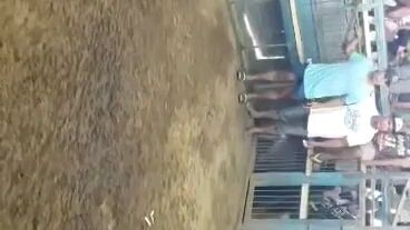 jackDgreatGF Sinibalang (Bangkas)