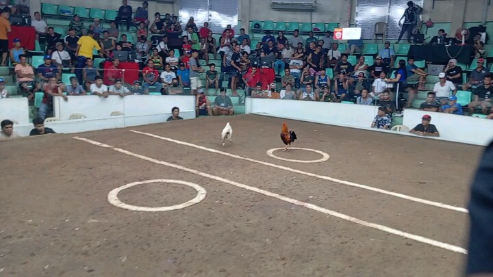 My winning line gold