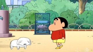 Xiaoxin akan mengajarimu apa itu cinta!