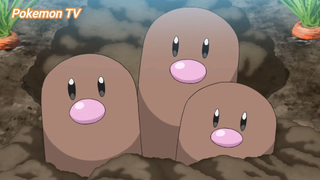 Pokemon (Short Ep 52) - Thu phục Dugtrio #pokemon