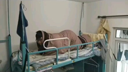 فراشة في شرنقة