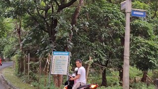 Visiting this place again.