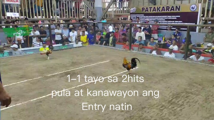 Bongdi backyard  entry