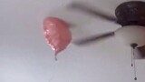 Apakah balon ini terlihat seperti anjing yang menjilati?