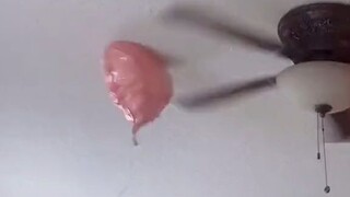 这气球像不像舔狗