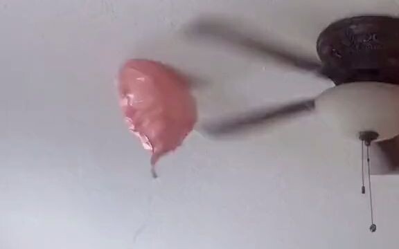 这气球像不像舔狗