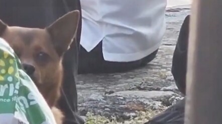 Sức mạnh bí ẩn từ phương Đông