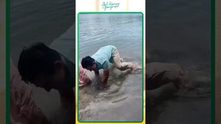 Napakagandang isda naman 'yan! 😍 #shorts | Abot Kamay Na Pangarap