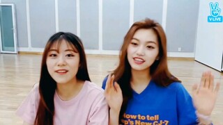 [Vietsub] Speak now - Taylor Swift by Doyeon & Lua - Weki Meki | Weki Meki Cover