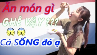 Thử thách ăn sạch 10 món ăn vặt Hà Lan ở đường phố chợ cá Hà Lan Châu Âu cùng Sarah Nguyen