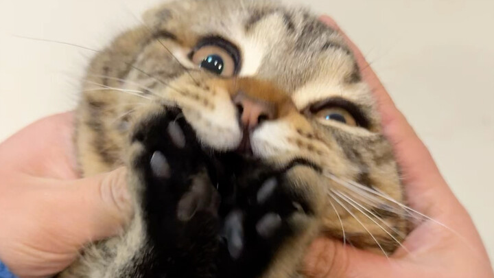 Da Li, waktunya minum obat