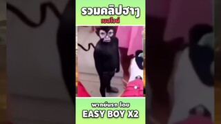 รวมคลิปฮา พากย์นรก #short #easyboy #คลิปฮา #เบสไวน์