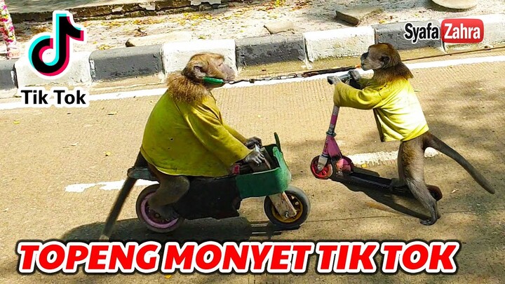 Topeng Monyet TIK TOK, Topeng Monyet Lucu | FUNNY MONKEY