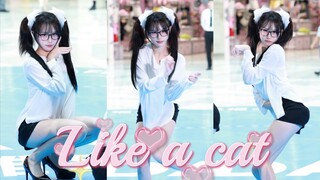 哪里来的双马尾小猫? | 猫步轻俏直拍 | 上海路演
