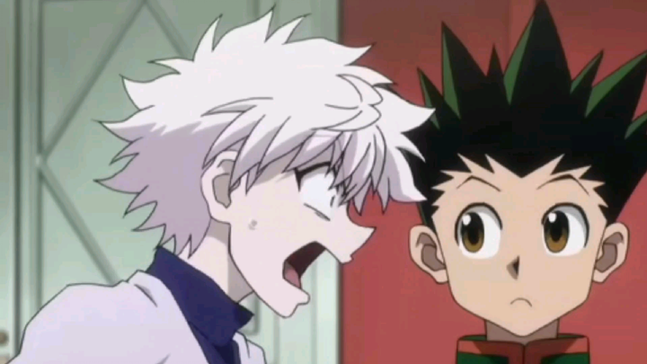 Gon and Pam ft. Killua (Miss Flawless)