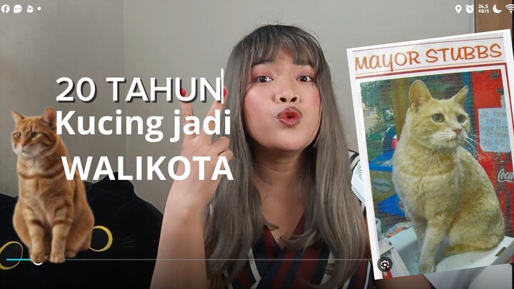 Kucing Ini Jadi Wali Kota Selama 20 Tahun! Kisah Stubbs dari Alaska