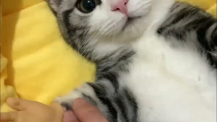 大夫，你这脉把挺准啊~