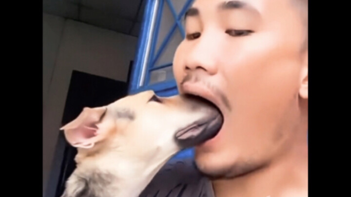 Tough  Clam ❶ ❸ ❷