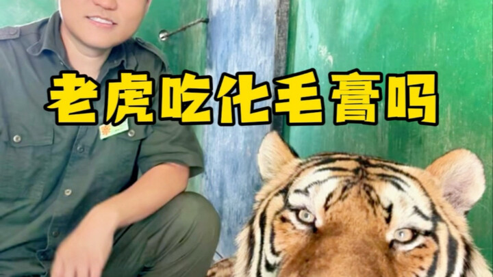 พรุ่งนี้จะเอาไปฝากที่คาเฟ่แมวเลย!