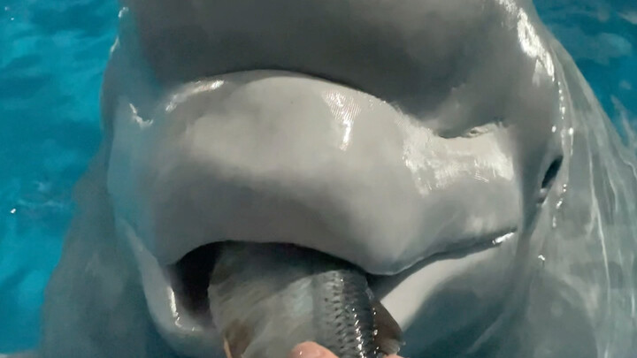 กินของว่างสักหน่อย