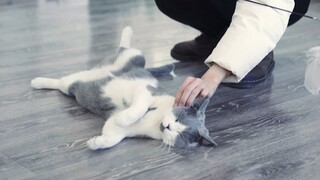 Sister Miao Miao Bingbing and I play; Miao Miao secretly logs in while Uncle Bing takes advantage.