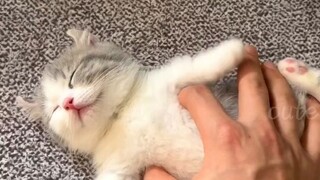 Share with cute and interesting people
