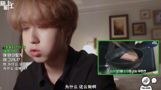 【韩知城】小鼠reaction团综skzcode~