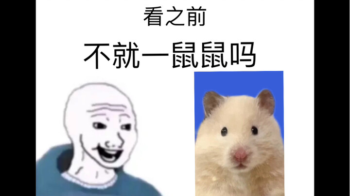 “Me, the Mouse…” Before Watching vs. After Watching