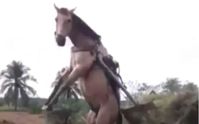 真TM的缺德，让我飞起来了啊