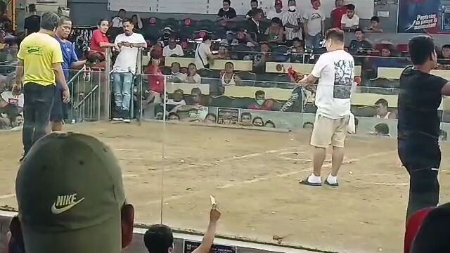 ( #DICH ) FROM GATBO, BACON, SORSOGON CITY. laban sa parañaque cockpit arena.