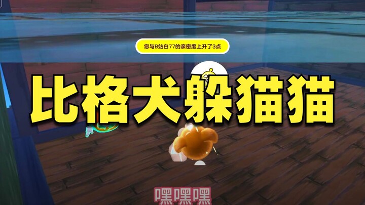 【Đột kích bí ngô】Sao Sàu Sàu lại biến thành cún con rồi! werwerwerwerwer!!!