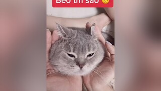 Tình trạng nghỉ dịch ngày thứ 5 BÉO THÌ SAO NÀO??luomwcat meocute meocute beomgyu giancachxahoi