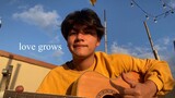love grows cover