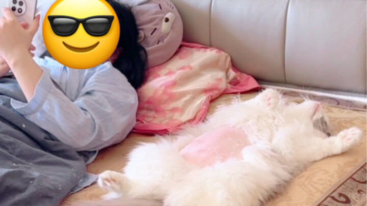 Cat blanket, but with a completely bald belly