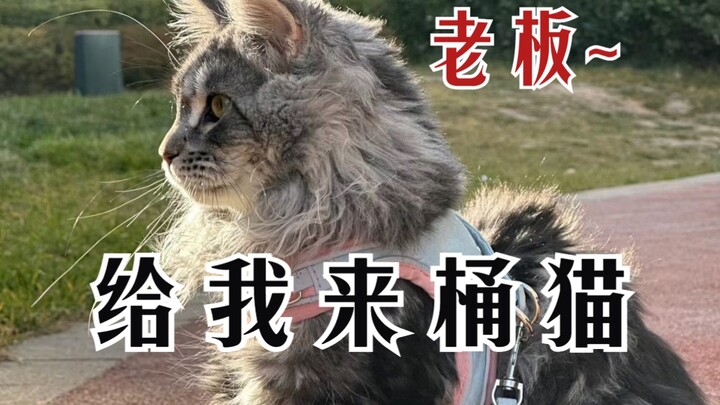 เมนโคทั้งตัวใหญ่ขนาดนั้น จะใช้ถังเปรียบเทียบก็ฟังดูสมเหตุสมผลนะ。