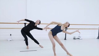 Xinglan Arts Examination Repertory Course (Dai Dance)