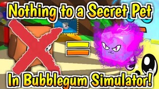 NOTHING To A *SECRET* Pet In Bubblegum Simulator! (Roblox)