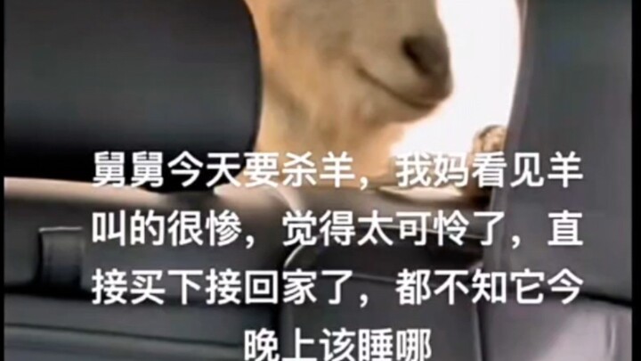 ปีนี้ความสามารถมีจำกัด ช่วยไว้ได้แค่ไม่กี่กิโลกรัมเท่านั้น