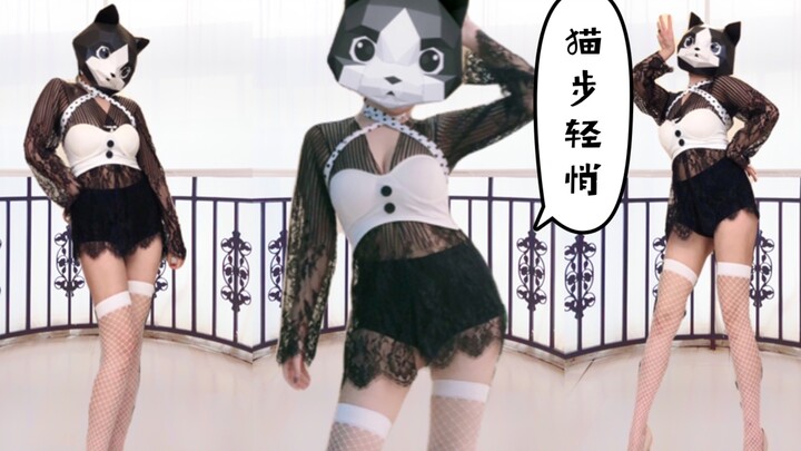 [Cathead Sister] The black and white emotional little cat plays itself in "Catwalk Quietly". Which o