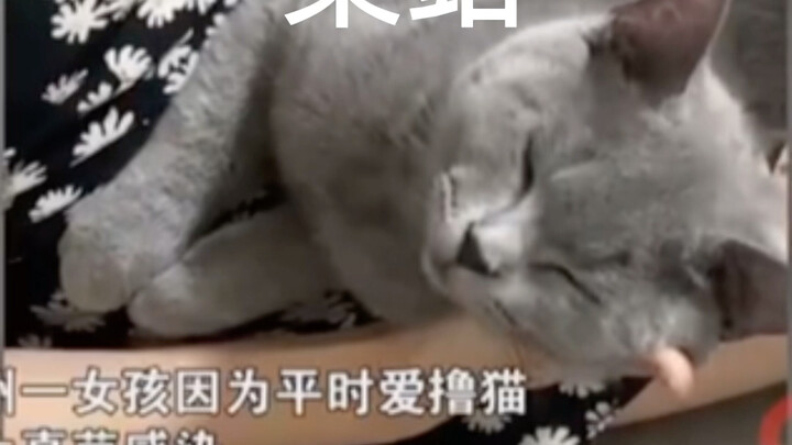 หลังจากเกิดปัญหาละเมิดลิขสิทธิ์ ฉันทำอะไรไม่ได้แล้วจริงๆ มีบางคำร้องที่อยากขอให้ทุกคนช่วยกันด้วย และ