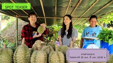 ตามอำเภอจาน เข้าสวนผลไม้สดๆ หวานฉ่ำ อ.ห้วยยอด จ.ตรัง วันอังคารที่ 26 ส.ค. เวลา 18.00 น.