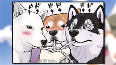 Ngày Tận Thế Với Chú Chó Shiba Của Tôi EP 5 [Sub Việt]