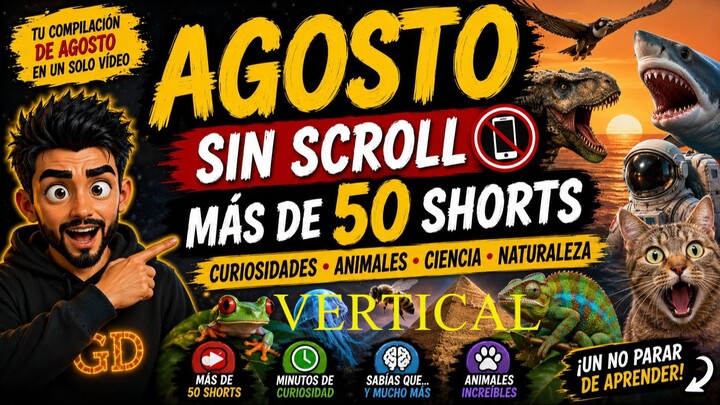 🚨 NO HAGAS SCROLL: MÁS DE 50 SHORTS EN UN SOLO VÍDEO 📱 | AGOSTO SIN SCROLL
