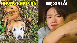 Đại Trang | Đại Trang Tội Nghiệp Bị MaMa Bỏ Rơi Nhưng Câu Chuyện Sau Đó Thì 😥 Gâu Đần Official