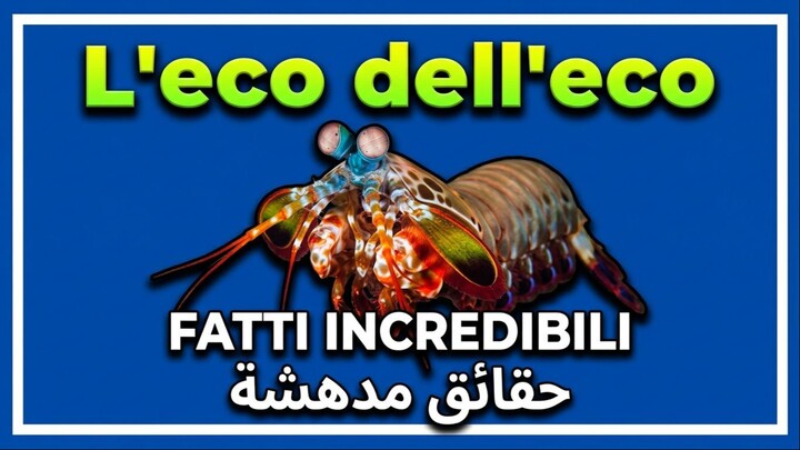 حقائق مدهشة عن المحيطات
