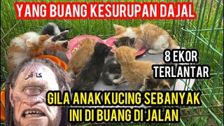 Kesurupan Setan Dajal Buang Anak Kucing Sebanyak Ini Di Jalanan..!