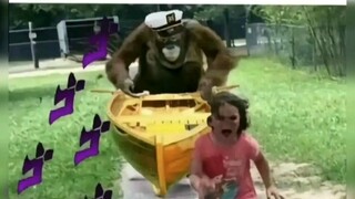 JOJO梗图合集
