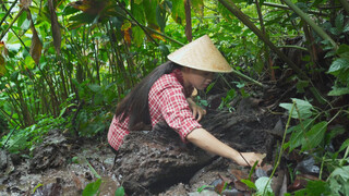 在云南深山里翻出的这种紫色美味，比小龙虾吃起来还过瘾！【山螃蟹】